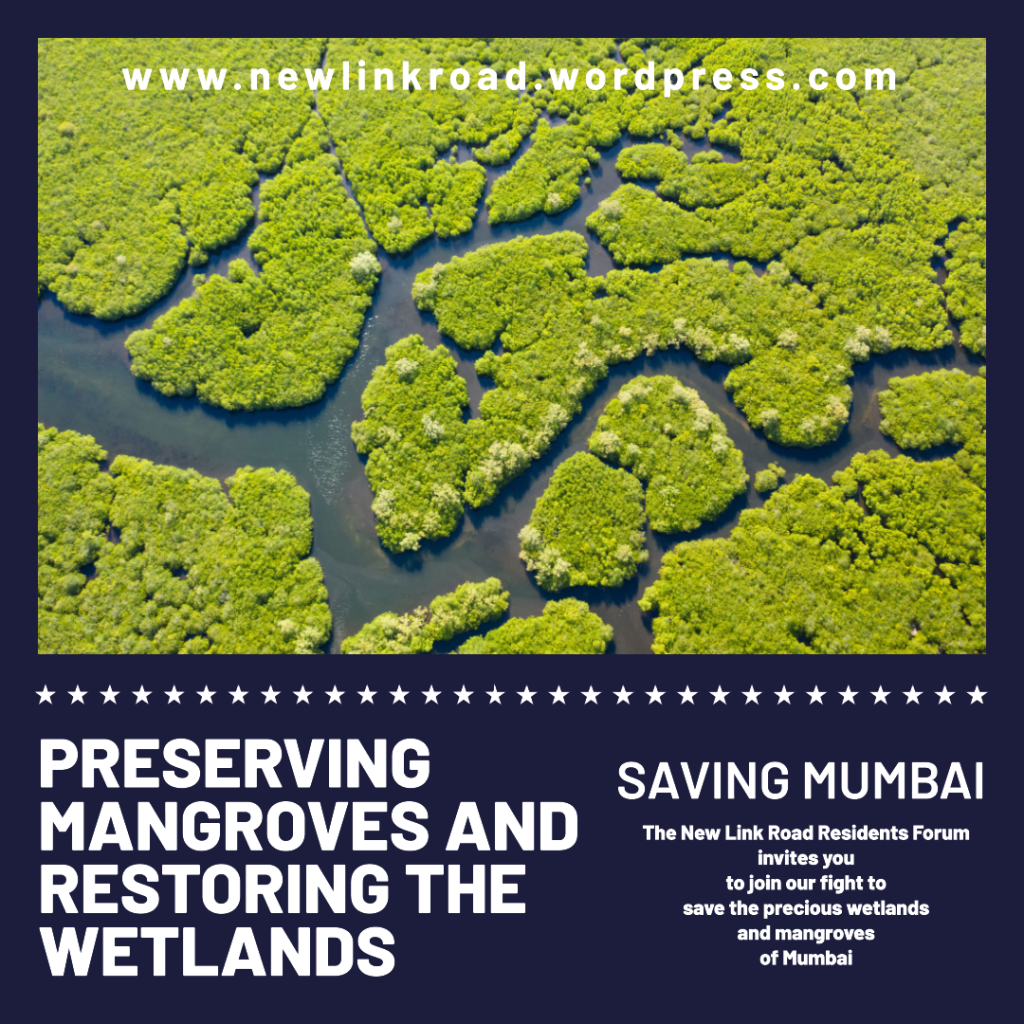 Join us to help preserve the wetlands of Mumbai